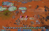 bug SM 1.png